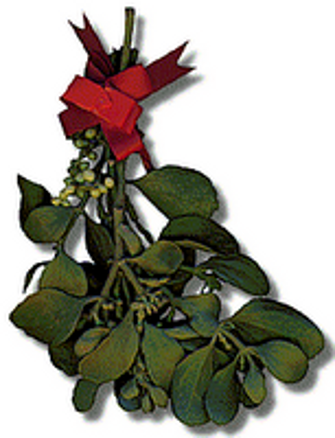 Mistletoe Clip Art