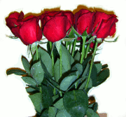 Click these flowers for details - Internet flower shop.