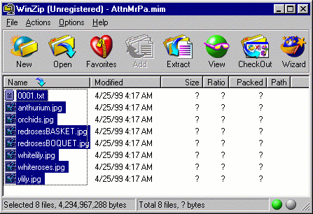 Winzip screen shot - one of the easiest ways to open mim files